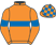 Horse Silk