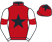 Red, black star, white sleeves, red armlet, red cap, black star}