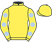 Jockey Silks