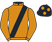 jockey silks