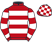 Silk colours for TRONADOR (IRE), trained by Gordon Elliott, Ireland and owned by Mr M. Wasylocha
