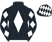 Horse Silk