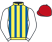 Yellow and royal blue stripes, white sleeves, red cap}