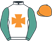 Horse Silk