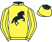 Silk colours for BILLAWAY (IRE), trained by W. P. Mullins, Ireland and owned by Mr J. Turner