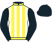 Horse Silk