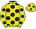 Horse Silk