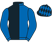 Horse Silk