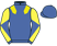 Royal blue,yellow epaulettes, royal blue sleeves ,yellow diabolo, royal blue cap}