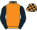 Silk colours for LUTTRELL LAD (IRE), trained by Tom Lacey and owned by Owners for Owners Luttrell Lad