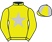 Yellow, silver star, yellow sleeves, quartered cap}