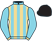 Horse Silk