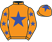 Horse Silk