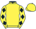 Yellow, black diamonds on sleeves}