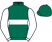 Dark green, white hoop, white sleeves, dark green cap}
