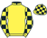 Yellow, yellow and black check sleeves and cap}