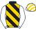 Black and gold diagonal stripes, white sleeves, white and gold striped cap}