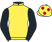 A. E. Lynch silk