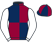 Frankie Dettori silk