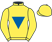 Give Your Head a Shake Syndicate silks