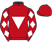 Frankie Dettori silk