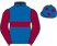 Patrick J. Halley silks