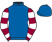 Emilys Birthday Party Racing Partnership silks
