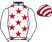 Park Inn Syndicate silks
