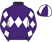 The Greyside Partnership silks