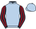 The DPRP Flat Partnership silks