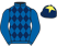 Tom Scudamore silk