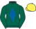 Brighton Racecourse Partnership silks