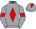 Silver Ring Partnership silks