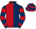 Give It Holly Syndicate silks