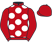 Monaco Flyer Partnership silks
