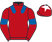 Mayhem Racing & Partners silks