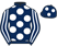 Ascot Park Polo Club silks