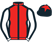 The Odd Partnership silks