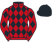 Slaney View Racing Syndicate silks