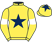 Mad Vic Partnership silks