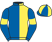 Blue Lion Racing VIII & Mr M. T. Buckley silks