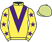 China Bloodstock Ltd silks