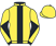 GLR Racing & Partners silks
