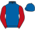 Born To Run Racing silks