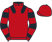 Hayley Turner silk