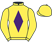 Mr P. J. Parfitt silks