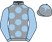 Sandbanks Racing Partnership silks
