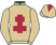 Tom Scudamore silk