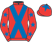 Jason Adlam & Eros Bloodstock silks