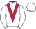 Mr W. J. Salthouse silks
